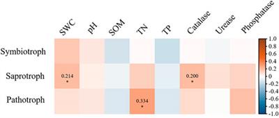 Vegetation Restoration Alters Fungal Community Composition and Functional Groups in a Desert Ecosystem